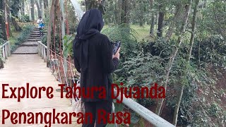 Review THR Djuanda : Jalan-jalan ke Penangkaran Rusa