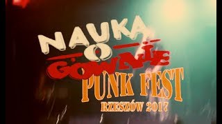 Nauka O Gównie - Live Punk Fest Rzeszów 2017