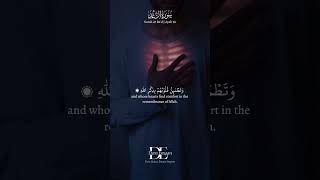 Surely in the remembrance of Allah do hearts find comfort. Surah Ar Ra'd Ayah 28 #quran #ytshorts