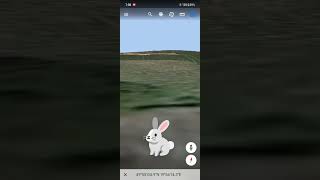 Flying rabbit found on Google Earth #shorts #viral short #google #earth