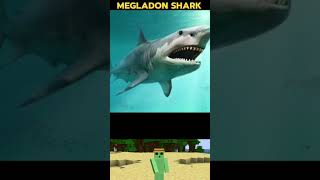 TOTO JE MEGALODON?!!😳 #extreme #extrémní #reakce  #YouTube #minecraft