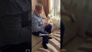 Колбаску стырю, обещаю😂 Их диалоги можно снимать вечно❤️ Не всегда успеваю включить камеру😍 #dog