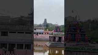 #tiruthani #teppakulam #temple #summer #saravanapoigai #iphone13 #tamilnadutemple #tamilnadutourism