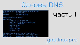 12. Основы DNS ч.1