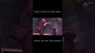 Zedd opening Ultra Music Festival 2023 #zedd #shorts #edm #music #ultramusicfestival #tastymusic