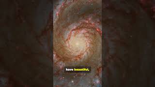 The Building Blocks Of Our Universe! Galaxies Explained! #universe #space #spaceexploration #galaxy