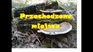 Wykopki przechodzone miejsce ?