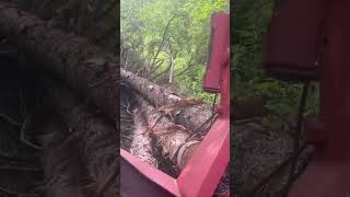 Timberjack 230 logging #skidder #detroitdiesel #timberjack #logging