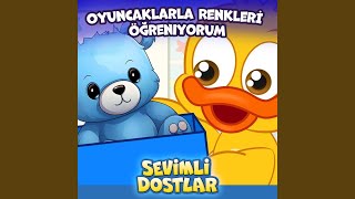 Oyuncaklarla Renkleri Öğreniyorum