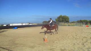 Missy the Quarter horse and Marcia at the jog