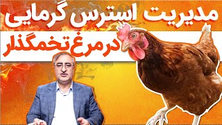 مدیریت استرس گرمایی در مرغ تخمگذار Managing heat stress in laying hens