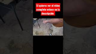 YTSHORTS rociador Ryobi 18v para deagrese o fumigar o limpiar tu A/C con batería milwaukee