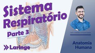 Sistema Respiratório - Aula 03 - Laringe - Anatomia Humana