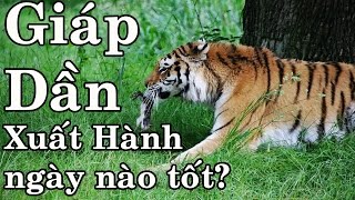 Sinh năm Giáp Dần Xuất Hành ngày nào Tốt - Phong Thủy Vượng Tài - Thầy Xuân Thứ