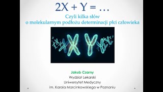 2X + Y = ... (Jakub Czarny)