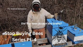 Beekeeping: Stop Buying Bees Series Pt. 4