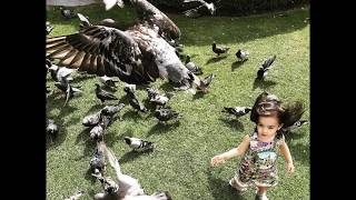 Zia Dantes: Feeding Pigeons in the Jardin des Tuileries (Paris, France)