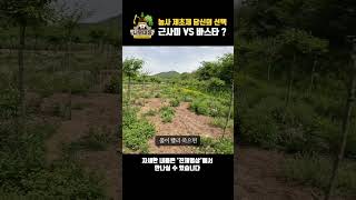 농사 제초제 당신의 선택, 근사미 VS 바스타? | 나무대장🌳 나무농사의 모든것