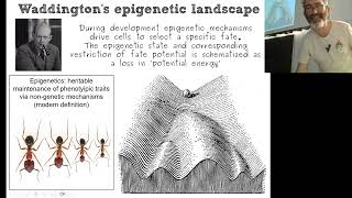 BCS24_A_2a_Cell Fate and Potential part II