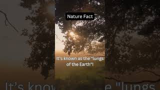 Nature Fact: