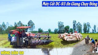 Cùng Xem Máy Cắt KUBOTA DC-93 An Giang Chạy Đồng Xuống Kiên Giang Cắt | Nông Dân 68