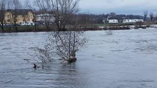 Wasserfall - Ruhr - Hattingen - Hochwasser 2020