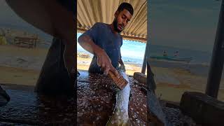 Oh!! The Fastest Mackerel Fish Cleaning Skills In The Fish Market