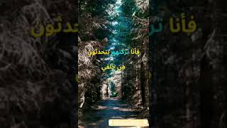 لن ينال كلامهم من عظمتي أي شيء.....أقوى فيديو تحفيزي       #motivation  #motivational