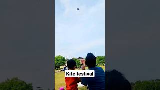 Kite Festival #shortvideo #kite #kiteflying #festival #Greenville #southcarolina