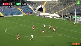 Daryl Ryan saves and Roscrea win the Tipperary 2022 Premier Intermediate Title