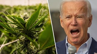 Biden Pardons Federal Marijuana Convictions | TBRS