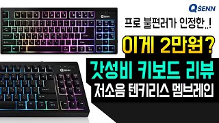 [가성비 텐키리스 키보드 추천] 2만원, 멤브레인 저소음 큐센 키보드 (QSENN SEM-DT25TS) 무소음 사무용 기계식 가성비 키보드 타건 소리, 무접점 적축 청축