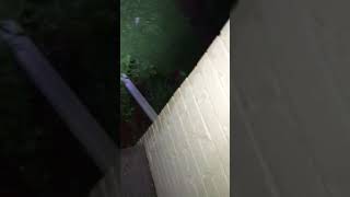 Flash Flood of 6/30/2018