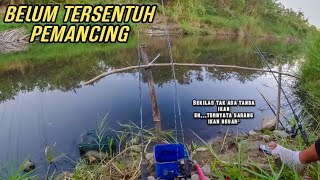 Bukti Nyata Belum Dijamah Pemancing,, ikan Besar Masih Banyak Bersarang Di Sungai Ini