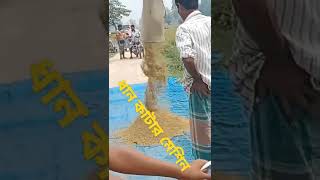 আগে কখনও দেখেছেন ধান কাটার মেশিন