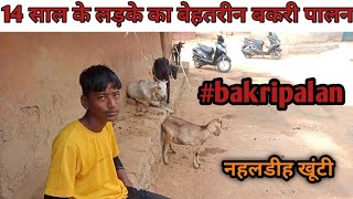 पढ़ाई के साथ बकरी पालन से महीना 20 हज़ार कमाता है यह युवा लड़का #bakripalan #bakrifarm