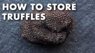 How to Store Fresh Truffles - Technique Video