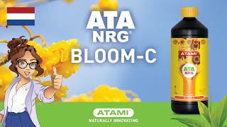 ATA NRG Bloom-C | (Animation NL)