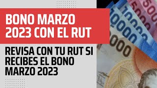 Bono Marzo 2024: Revisa con tu RUT si recibes el Aporte Familiar Permanente