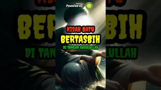 KISAH BATU BERTASBIH DI TANGAN RASULULLAH #rasulullah #kisahrasulullah #mukjizatnabi #shorts