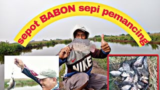 Sangat di sayang kan sepot mancing banyak babon,tapi sepi pemancing