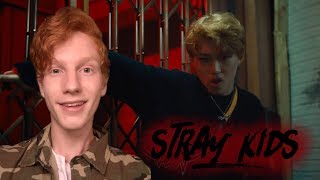 Stray Kids (스트레이 키즈) - "Hellevator" Reaction and Review