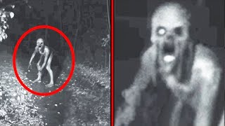 Terrifying Creatures Caught On Trail Cam