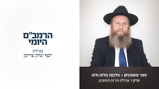 שיעור 888 הרמב"ם היומי ⁨הלכות מלוה ולוה פרק ו׳ אכילת פירות המשכון