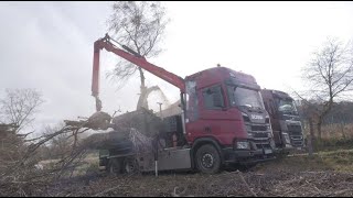 Дробилка древесины Pezzolato PTH 1200/1000 TRUCK в работе