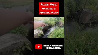 Mancing Uceng Di Pinggir Jalan. Ikannya Kelaparan #shorts