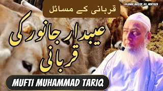 Mufti Muhammad Tariq | Aibdar Janwar ki qurbani | Qurbani k masail | JAMA MASJID ALI MURTAZA