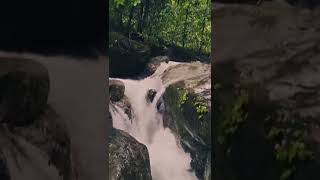 Trailer tambdi surla  waterfall bhagwaan mahaveer wildlife Sanctuary tambdi surla village goa