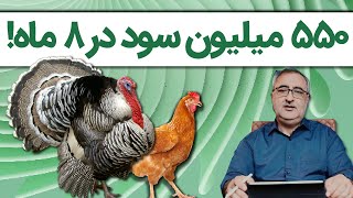 پرورش مرغ گوشتی یا بوقلمون، کدوم رو پرورش بدیم؟ Raising broiler chickens or turkeys raise?