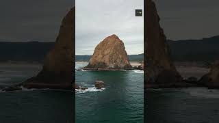 Discover Canon Beach: Oregon’s Coastal Gem! #shorts